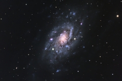 NGC2403