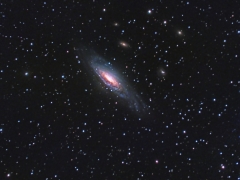 NGC7331