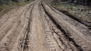 Rutted Road